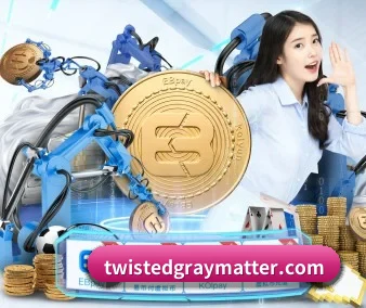 华体育app官网登录入口 APP